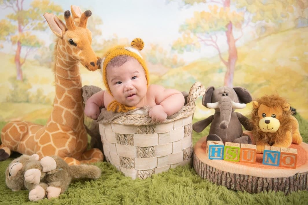 戴獅子造型帽的寶寶伏在籃子上,身旁放有長頸鹿與小動物玩偶